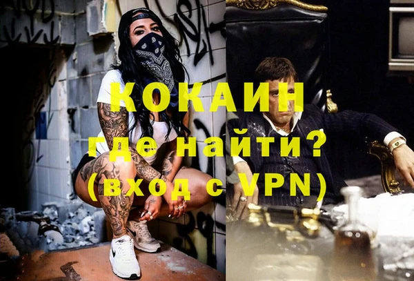 PSILOCYBIN Валдай