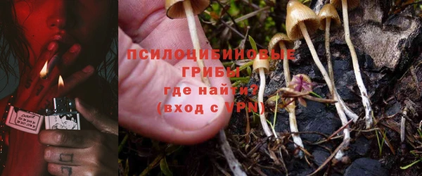 экстази Кукмор