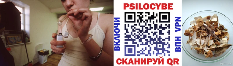 Галлюциногенные грибы мицелий  Новая Ладога 